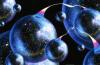Параллельные вселенные и теория множественности миров Несколько вселенных